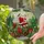 Santa Claus Golden Trumpet Christmas Train Holly Winter Home Decor Gift Stained Glass Suncatcher - 2