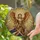 Majestic Male Angel Golden Halo Elaborate Armor Celestial Light - Home Decor Gift Stained Glass Suncatcher - 2