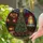 Grand Decorated Christmas Tree Fireplace Ocean View Interior - Christmas Home Decor Stained Glass Suncatcher - 2