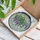 Lush Wisteria Flowers Cascading Green Leaves - Home Decor Gift for Garden Lover Stained Glass Suncatcher - 3