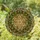 Star of David Laurel Wreath Organic Geometric Mosaic - Everyday Home Decor Gift Stained Glass Suncatcher - 1