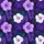 duiyfppz/products/6a0ece42c7e88115efff2102/gallery/x94TauI7PR