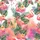 duiyfppz/products/6a0f03bc40499f358ec97661/gallery/42GntvlaD8