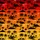 duiyfppz/products/6a0f03f9a428ccbcf6ce59c2/gallery/i1xMoV4rAg