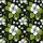 duiyfppz/products/6a0f0b434daf1de2e4857cf9/gallery/wPbMFWBTQg