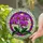 Purple Phalaenopsis Orchid Yellow Red Center - Home Decor Gift for Plant Lover Stained Glass Suncatcher - 2
