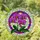 Purple Phalaenopsis Orchid Yellow Red Center - Home Decor Gift for Plant Lover Stained Glass Suncatcher - 1