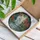 Stained Glass White Cat Pond Lily Lotus Tropical Leaves - Cat Lover Home Decor Gift Stained Glass Suncatcher - 3