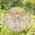 Angel Expansive Feathered Wings Golden Halo Celestial Swirls Light Rays - Home Decor Gift Stained Glass Suncatcher - 1