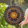 Radiant Sun Cosmological Wheel Zodiac - Home Decor Gift for Astrology Lover Stained Glass Suncatcher - 2
