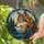 Majestic Wolf Head Evergreen Trees Blue Hills Mosaic Border - Home Decor Gift for Wildlife Lovers Stained Glass Suncatcher - 2