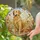 Golden Retriever Dog Sitting Comfortably Home Decor Gift for Dog Owners Stained Glass Suncatcher - 2