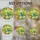 2D Flat Design, Suitable for All Seasons, 2D Flat Print, Parrot Sun Catcher, Animal Window Hanging, Holiday-Themed Parties, Parrot Enthusiasts, Gifts for Women And Family, Suitable for Outdoor, Garden Porch, Bedroom, Office, Home Terrace Stained Glass Suncatcher - 4