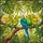 2D Flat Design, Suitable for All Seasons, 2D Flat Print, Parrot Sun Catcher, Animal Window Hanging, Holiday-Themed Parties, Parrot Enthusiasts, Gifts for Women And Family, Suitable for Outdoor, Garden Porch, Bedroom, Office, Home Terrace Stained Glass Suncatcher - 5
