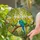 2D Flat Design, Suitable for All Seasons, 2D Flat Print, Parrot Sun Catcher, Animal Window Hanging, Holiday-Themed Parties, Parrot Enthusiasts, Gifts for Women And Family, Suitable for Outdoor, Garden Porch, Bedroom, Office, Home Terrace Stained Glass Suncatcher - 2
