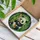 Cute Baby Panda Holding Bamboo Stalk in Dense Bamboo Forest - Wildlife Lover Gift Stained Glass Suncatcher - 3