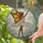 Ballerina Fairy Monarch Butterfly Floral - Home Decor Gift for Fairy Lover Stained Glass Suncatcher - 2