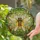 Cicada Red Eyes Translucent Wings Forest Leaves Dappled Sunlight - Home Decor Gift Stained Glass Suncatcher - 2