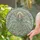 Tiffany Angel Halo Wings Celestial Interweave - Home Decor Gift for Window Display Stained Glass Suncatcher - 2