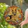 German Shepherd Paw Print Leaf Stained Glass Sunburst Home Decor Gift for Dog Lover Stained Glass Suncatcher - 2