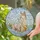 Mother Llama Baby Llama Serene Embrace - Home Decor Gift for Llama Lover Stained Glass Suncatcher - 2