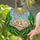 Curled Cat Open Book Radiant Sun - Home Decor Gift for Cat Lover Stained Glass Suncatcher - 2