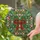 Ornate Festive Bow Holly Berries Pine Needles Snowflakes - Christmas Home Decor Gift Stained Glass Suncatcher - 2