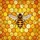 Honey Bee Hexagonal Honeycomb - Wildlife Home Decor Gift for Nature Lovers Stained Glass Suncatcher - 5
