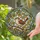 Plump Wren Bird Amber Leaves Branch Botanical Mosaic - Home Decor Gift for Bird Lover Stained Glass Suncatcher - 2