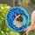 Beige Brown Siamese Cat Head Blue Flowers Turquoise Cyan Field - Cat Lover Home Decor Gift Stained Glass Suncatcher - 2