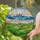 Green Fields Mountain Range Black Birds Silhouettes - Home Decor Gift Stained Glass Suncatcher - 2