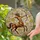 Galloping Centaur Sagittarius Sunbursts - Astrology Lover Gift Stained Glass Suncatcher - 2