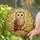 Barn Owl Heart Face Branch Autumn Leaves - Wildlife Home Decor Gift Stained Glass Suncatcher - 2