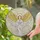 Praying Angel Golden Wings Halo Celestial Clouds - Spiritual Home Decor Gift Stained Glass Suncatcher - 2