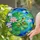 Red-Eyed Tree Frog Lotus Pond - Wildlife Lover Gift for Frog Lovers Stained Glass Suncatcher - 2