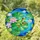 Red-Eyed Tree Frog Lotus Pond - Wildlife Lover Gift for Frog Lovers Stained Glass Suncatcher - 1
