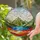 duiyfppz/products/6a0fe8e1202e19be865b686b/gallery/2vaIUEgR6-