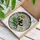 duiyfppz/products/6a0fe9a3a24887b813682cd9/gallery/mj-Q-Kwlkl