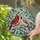 duiyfppz/products/6a0fea4edab8c60422e8884f/gallery/4kfTNjUN91