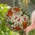 duiyfppz/products/6a0feba84086782e5661aa43/gallery/i-Bp3E3Irv
