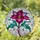 duiyfppz/products/6a0fff2e408678025861c343/gallery/j4SWoeuMAp