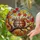 duiyfppz/products/6a100054db14a7367c96a061/gallery/zYlA6CHtqj