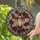 duiyfppz/products/6a100066691d0e151edad160/gallery/lRfjNtSiix