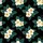 duiyfppz/products/6a100106db14a705da96a1aa/gallery/NRHo7Eita0