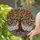 duiyfppz/products/6a1001150d55d6285e8477e9/gallery/Mz3IFLr8th