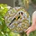 duiyfppz/products/6a100203db14a74a1a96a390/gallery/9RN85RVdBe
