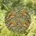 duiyfppz/products/6a1002330d55d699d9847986/gallery/TKvC6SzTPO