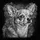 High Contrast Black White Chihuahua Dog Portrait - Pet Lover Gift for Dog Owner Spare Tire Cover - 6