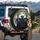 Black Labrador Retrievers Lush Interior Landscape - Dog Lover Gift Spare Tire Cover - 3
