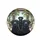 Black Labrador Retrievers Lush Interior Landscape - Dog Lover Gift Spare Tire Cover - 4